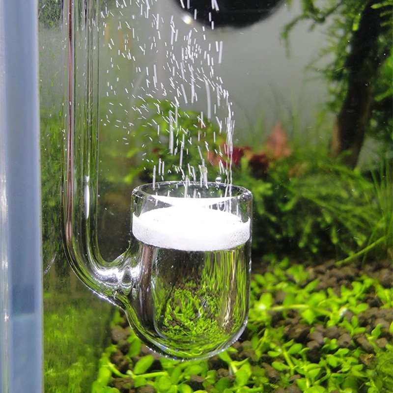 Aquaponics Fish Tank - D0AD แก้ว CO2 Diffuser สำหรับพิพิธภัณฑ์สัตว์น้ำปลูกสำหรับถัง Simple