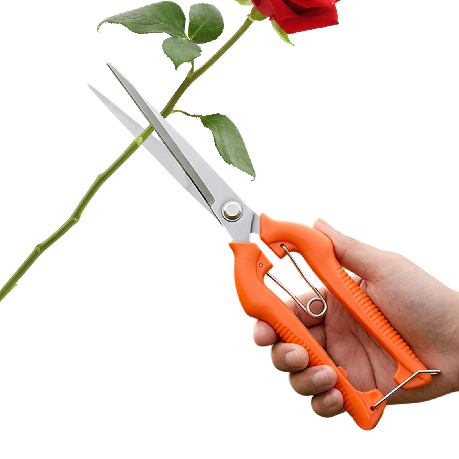 Gardening Tools Women - กรรไกรตัดแต่งกิ่ง ตัดองุ่น อุปกรณ์ทำสวน ตัดผัก ตัดบอนไซ แบบมืออาชีพ