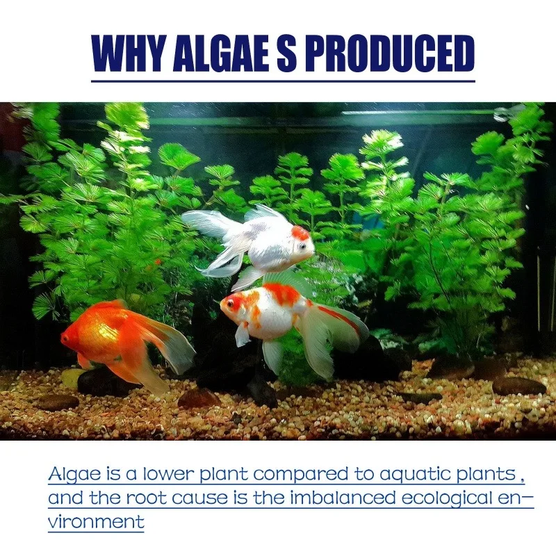 สารกำจัดสาหร่ายประสิทธิภาพสูง  - Aquaponics Fish Tank บทวิจารณ์และราคา