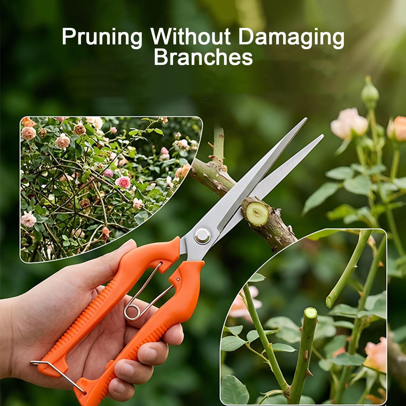 กรรไกรตัดแต่งกิ่ง ตัดองุ่น อุป - Gardening Tools Women บทวิจารณ์และราคา