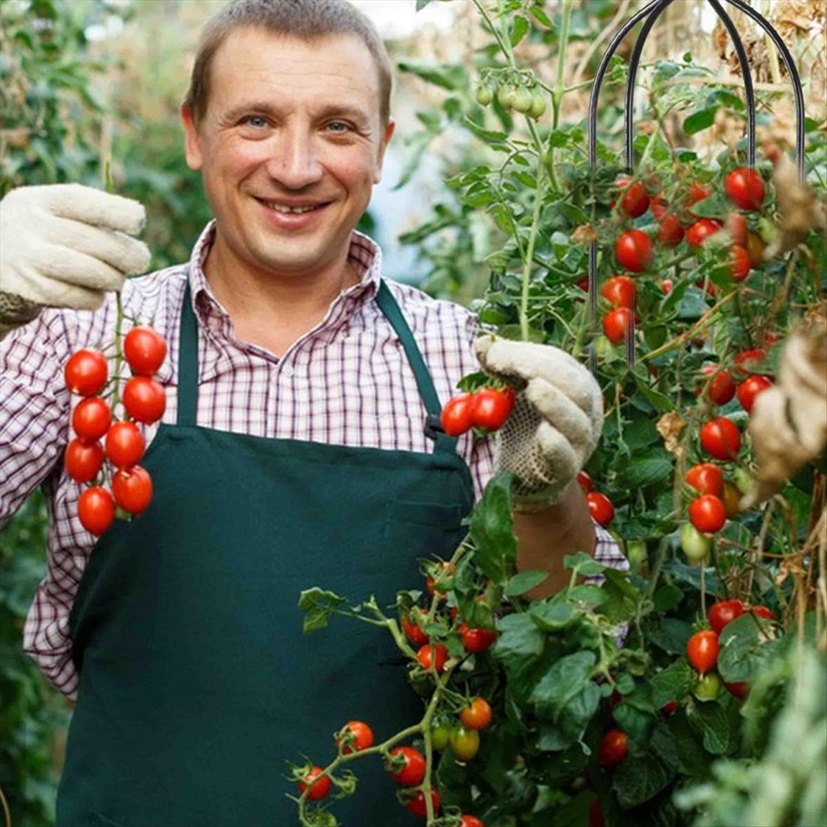 โครงไม้เลื้อย AT16 สำหรับพืชเล - Gardening Tools B&Q บทวิจารณ์และราคา