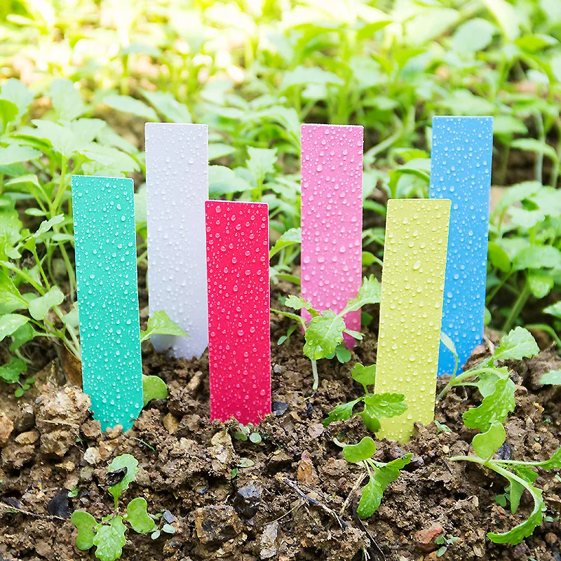 100Pcsหนา4นิ้วป้ายพลาสติกReusa - Garden Label Marker บทวิจารณ์และราคา
