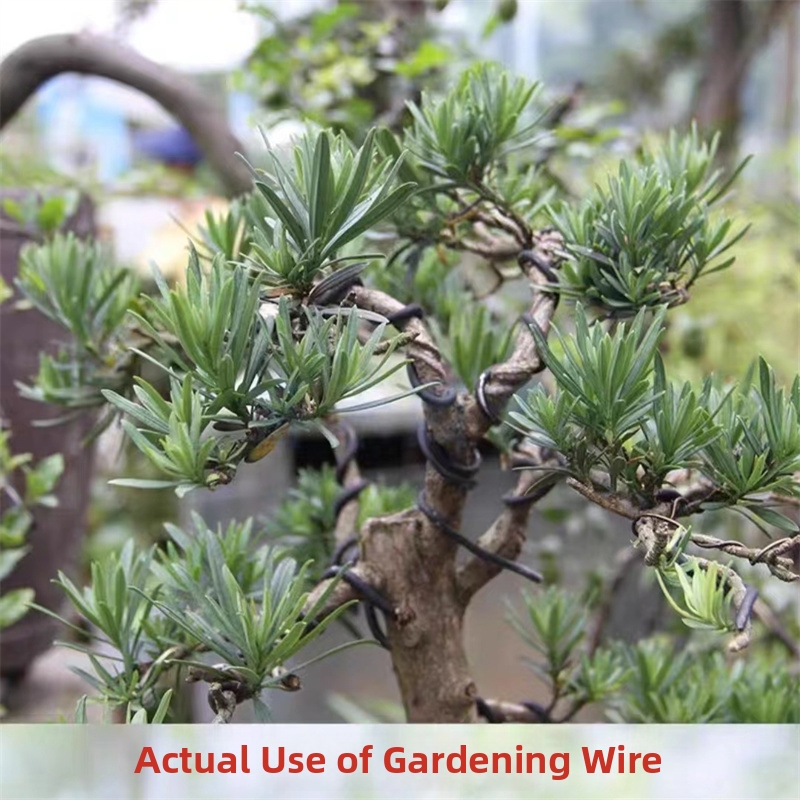 ลวดบอนไซอะลูมิเนียมขนาด 1.5 มม - Gardening Tools And Accessories บทวิจารณ์และราคา